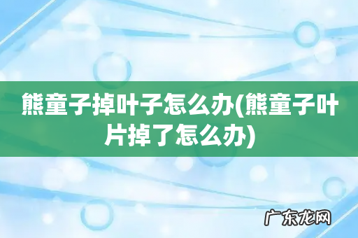 熊童子叶片掉了怎么办 熊童子掉叶子怎么办