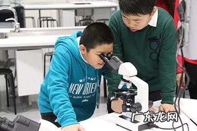 新东方夏令营2022暑假 新东方冬令营如何