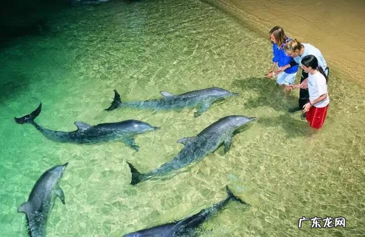 新东方夏令营2022暑假 新东方冬令营如何