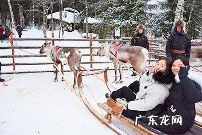 新东方夏令营2022暑假 新东方冬令营如何