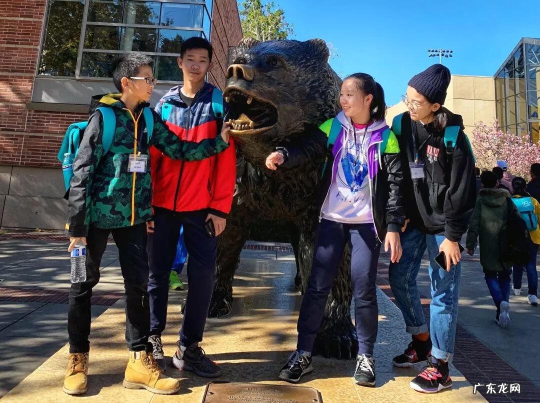 新东方夏令营2022暑假 新东方冬令营如何