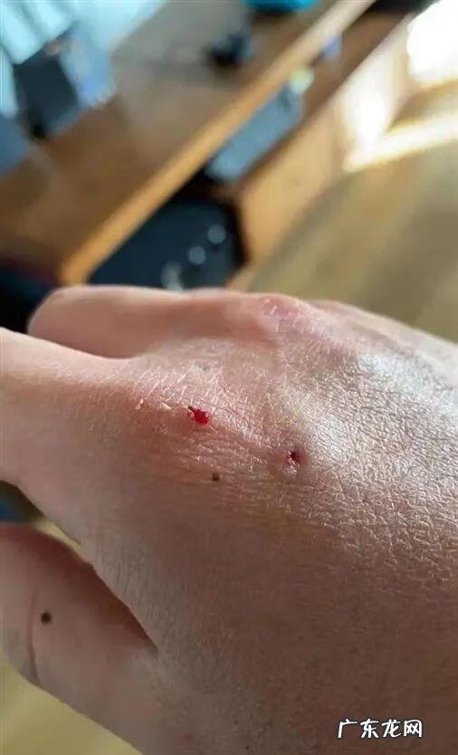 上海礼仪兼职 上海礼仪公司都有哪些