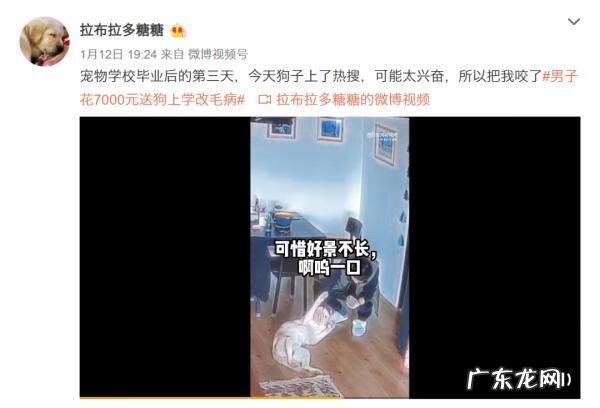 上海礼仪兼职 上海礼仪公司都有哪些