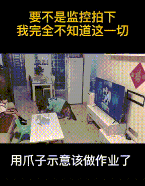 上海礼仪兼职 上海礼仪公司都有哪些