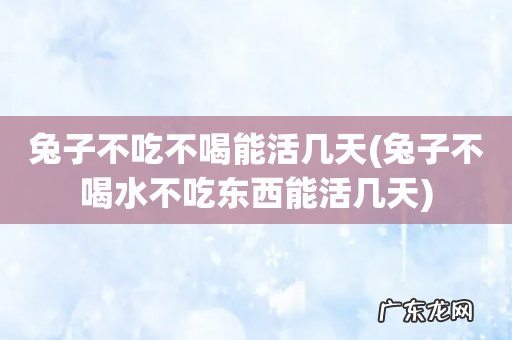 兔子不喝水不吃东西能活几天 兔子不吃不喝能活几天