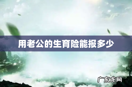 用老公的生育险能报多少