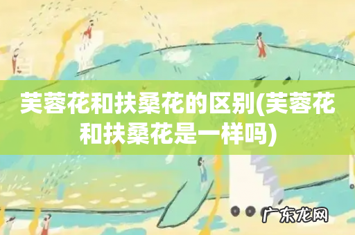 芙蓉花和扶桑花是一样吗 芙蓉花和扶桑花的区别