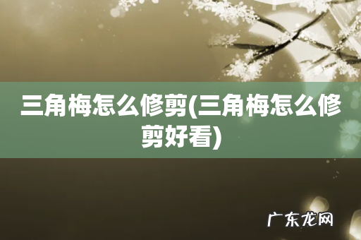 三角梅怎么修剪好看 三角梅怎么修剪