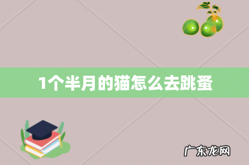 1个半月的猫怎么去跳蚤