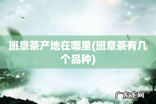 班章茶有几个品种 班章茶产地在哪里