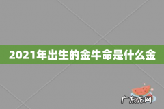 2021年出生的金牛命是什么金