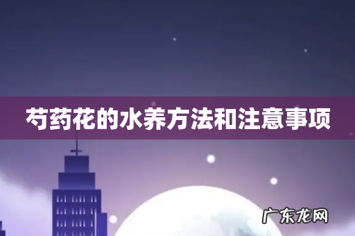 芍药花的水养方法和注意事项