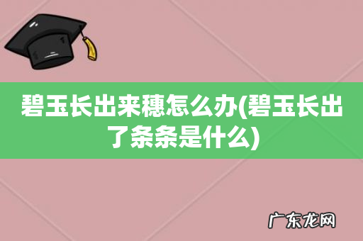碧玉长出了条条是什么 碧玉长出来穗怎么办