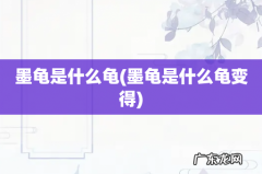 墨龟是什么龟变得 墨龟是什么龟