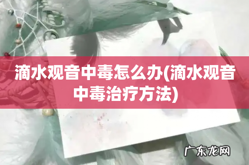 滴水观音中毒治疗方法 滴水观音中毒怎么办