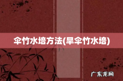 旱伞竹水培 伞竹水培方法