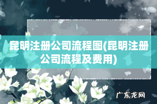 昆明注册公司流程及费用 昆明注册公司流程图