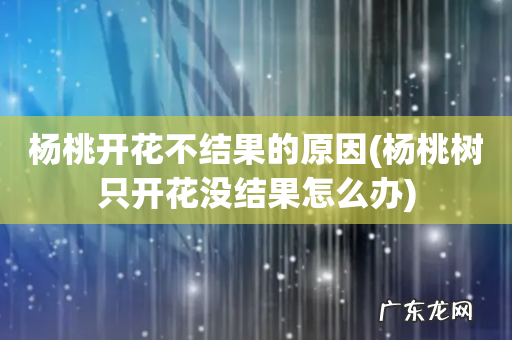 杨桃树只开花没结果怎么办 杨桃开花不结果的原因