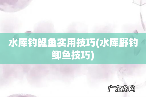 水库野钓鲫鱼技巧 水库钓鲤鱼实用技巧