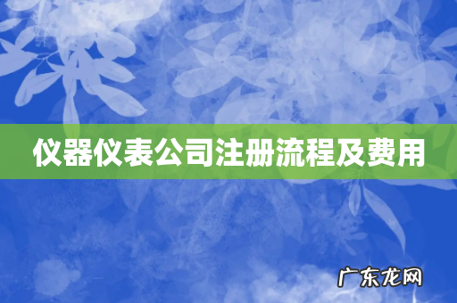仪器仪表公司注册流程及费用