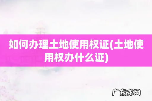 土地使用权办什么证 如何办理土地使用权证