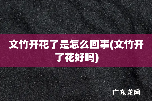 文竹开了花好吗 文竹开花了是怎么回事