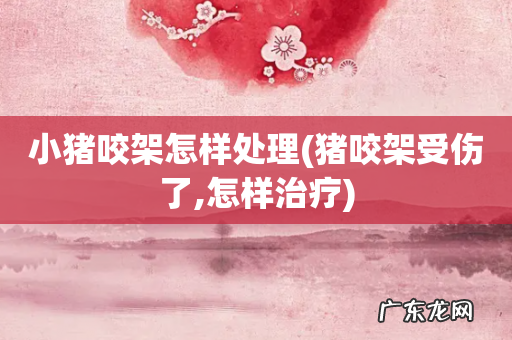 猪咬架受伤了,怎样治疗 小猪咬架怎样处理