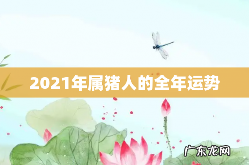 2021年属猪人的全年运势