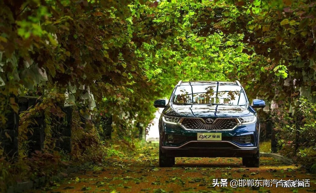 春风水冷电喷大绵羊线路图 春风水冷大绵羊维修