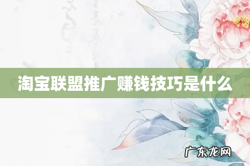 淘宝联盟推广赚钱技巧是什么