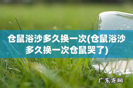 仓鼠浴沙多久换一次仓鼠哭了 仓鼠浴沙多久换一次