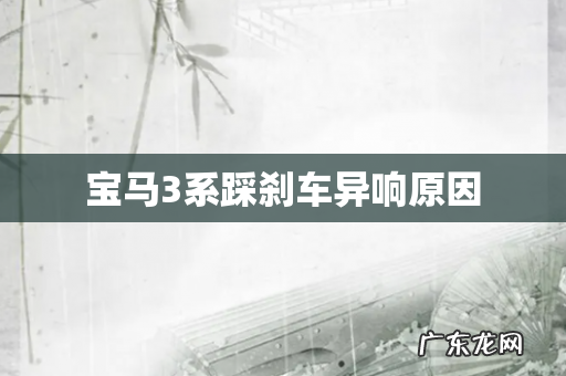 宝马3系踩刹车异响原因
