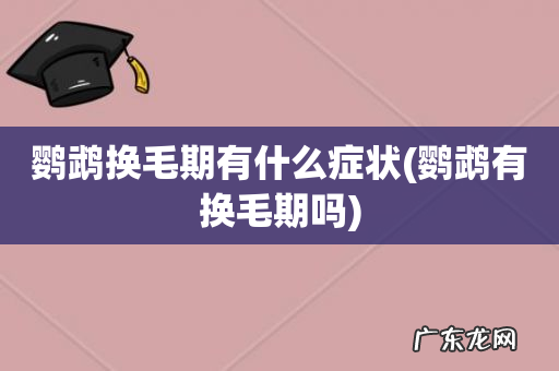 鹦鹉有换毛期吗 鹦鹉换毛期有什么症状