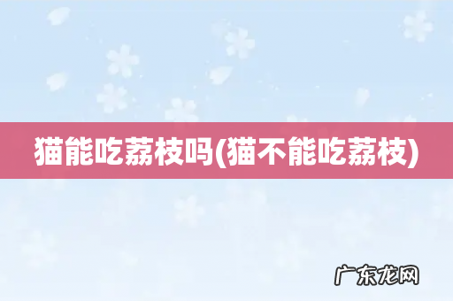 猫不能吃荔枝 猫能吃荔枝吗