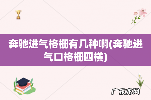 奔驰进气口格栅四横 奔驰进气格栅有几种啊