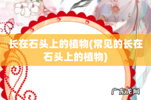 常见的长在石头上的植物 长在石头上的植物