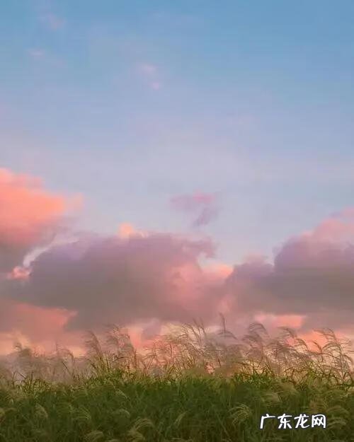 降临小说下载 等风降临下载