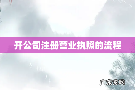 开公司注册营业执照的流程