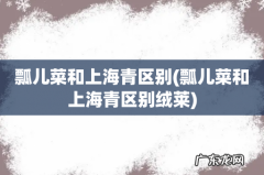 瓢儿菜和上海青区别绒莱 瓢儿菜和上海青区别