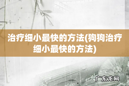 狗狗治疗细小最快的方法 治疗细小最快的方法