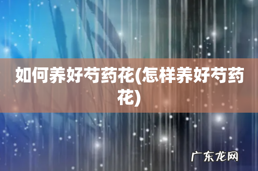 怎样养好芍药花 如何养好芍药花