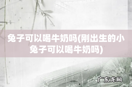 刚出生的小兔子可以喝牛奶吗 兔子可以喝牛奶吗