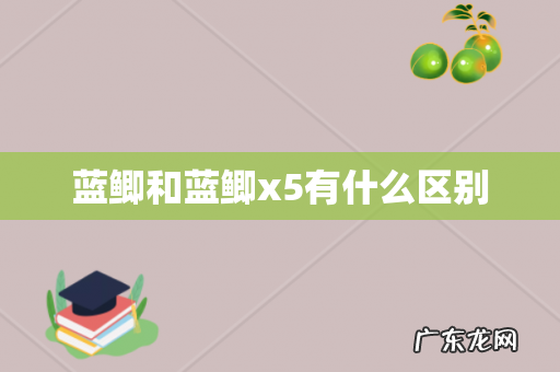 蓝鲫和蓝鲫x5有什么区别