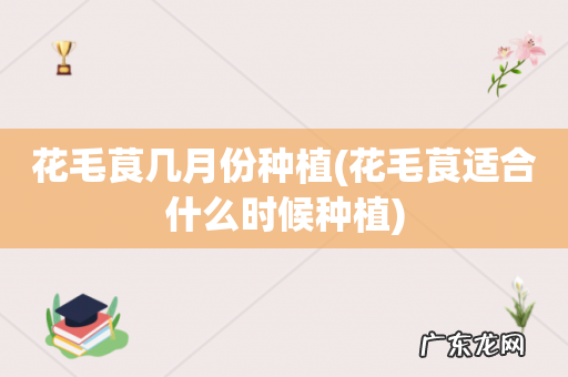 花毛茛适合什么时候种植 花毛茛几月份种植