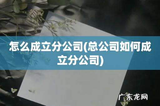 总公司如何成立分公司 怎么成立分公司