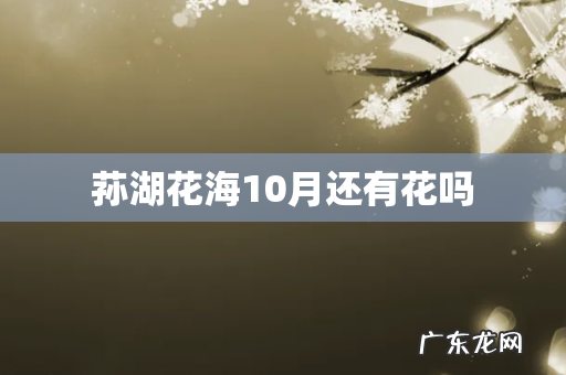 荪湖花海10月还有花吗