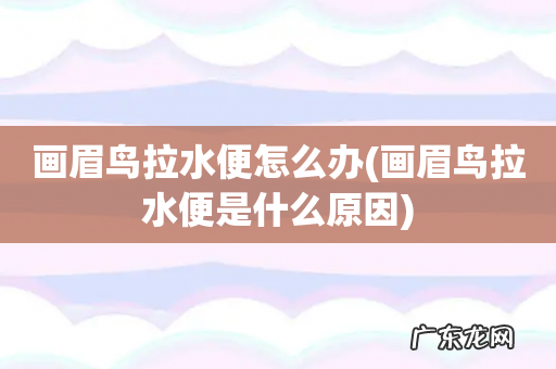 画眉鸟拉水便是什么原因 画眉鸟拉水便怎么办