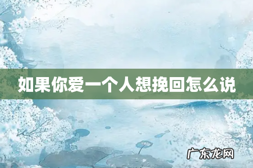 如果你爱一个人想挽回怎么说