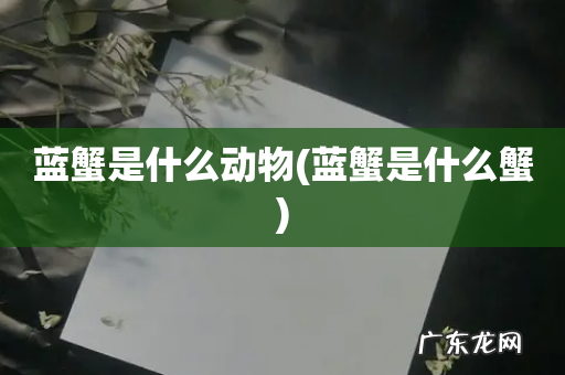 蓝蟹是什么蟹 蓝蟹是什么动物