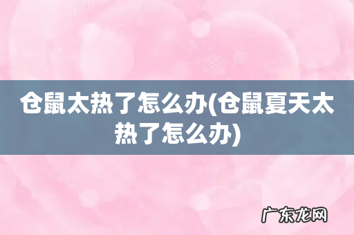 仓鼠夏天太热了怎么办 仓鼠太热了怎么办